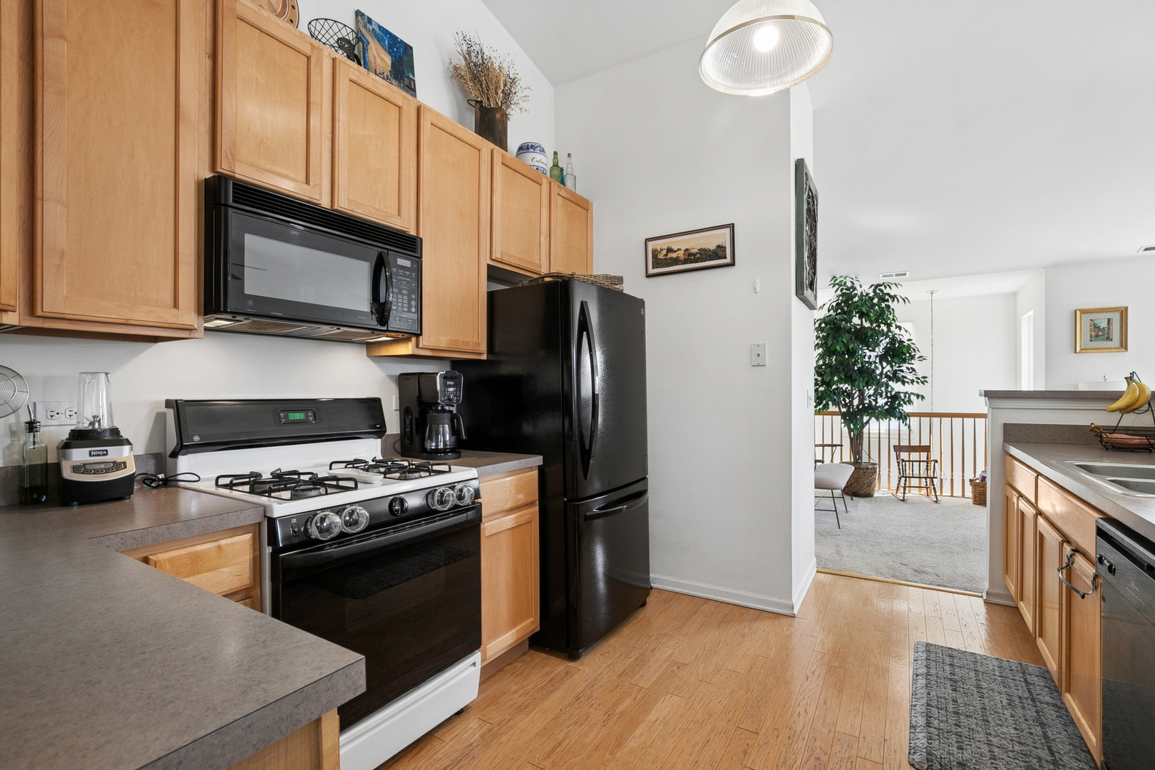 3099 Falling Waters Lane, Lindenhurst, IL 60046