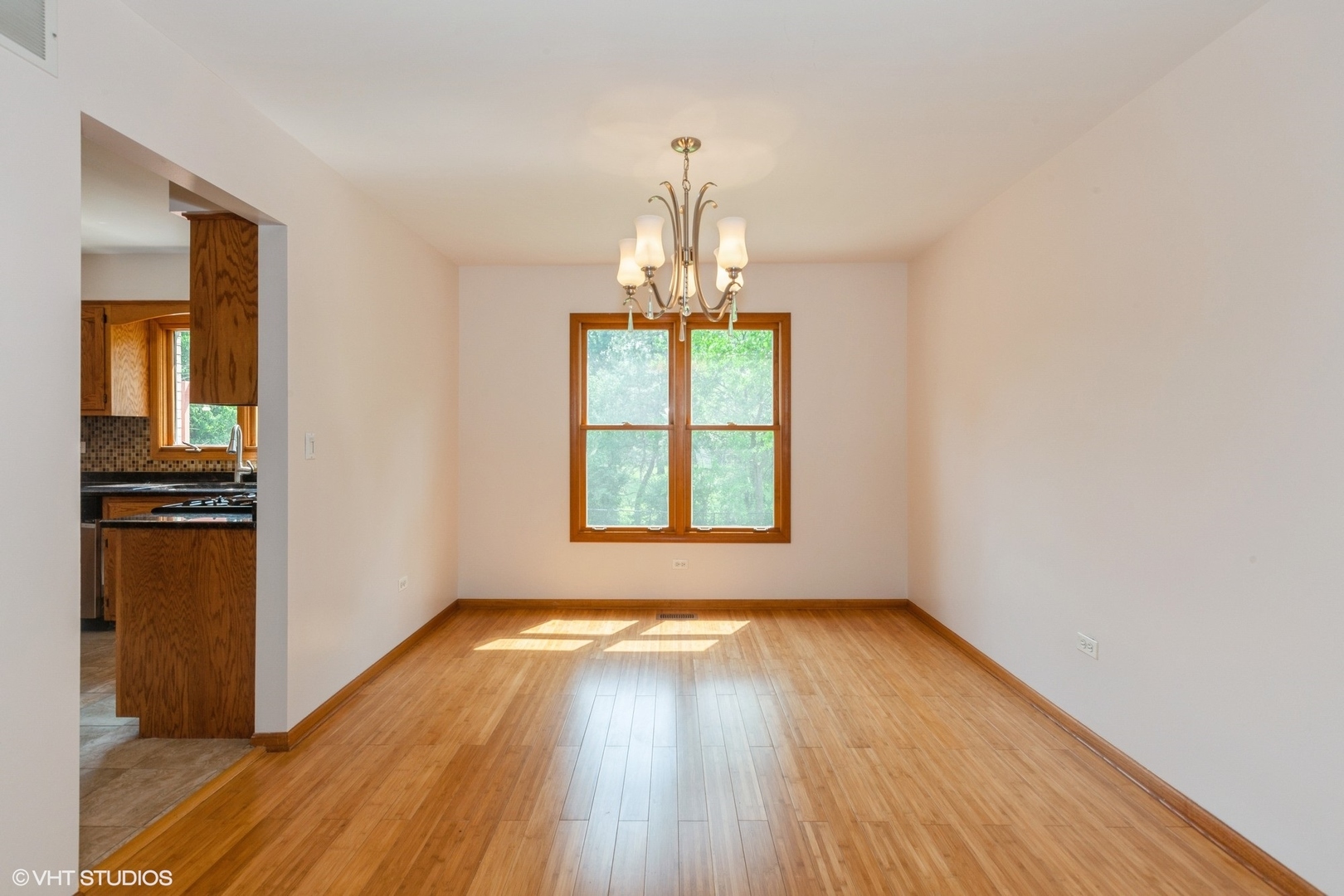 8885 Dryden Street, Woodridge, IL 60517