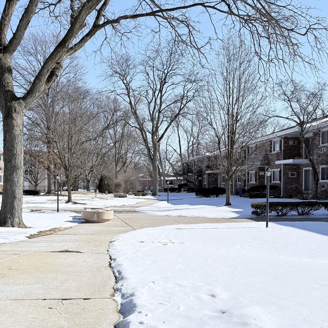 37 N Main Street #40, Glen Ellyn, IL 60137