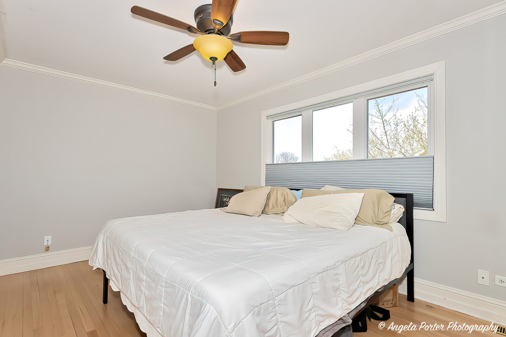 41653 N Lotus Avenue, Antioch, IL 60002