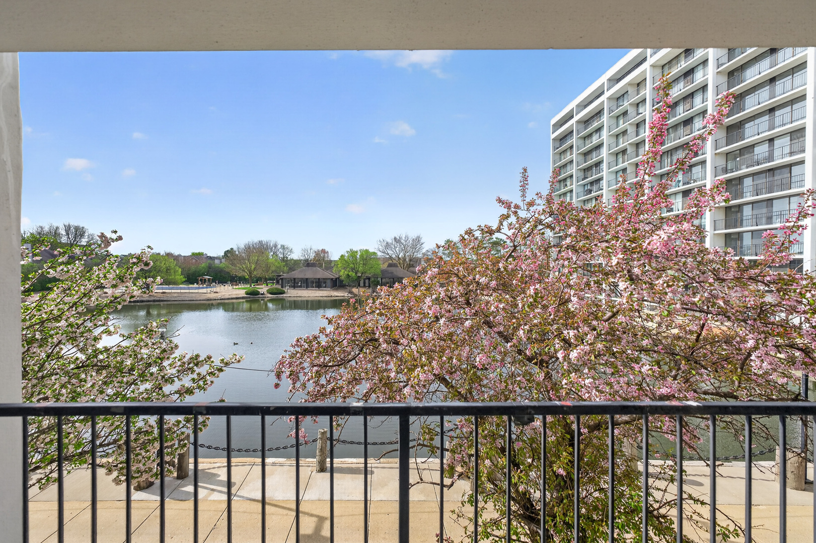 2015 S Finley Road #209, Lombard, IL 60148