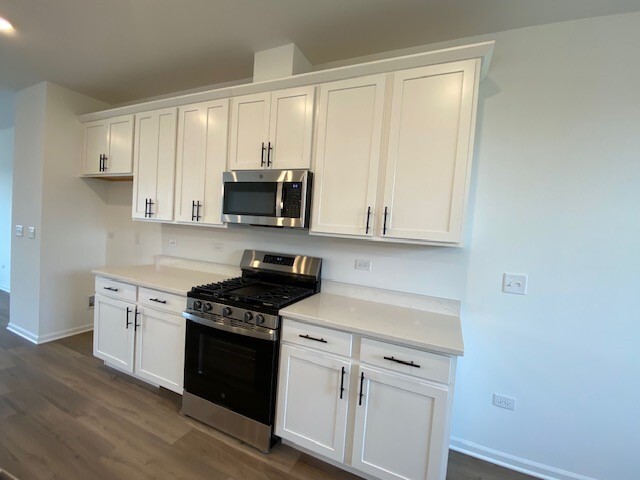 4515 Chelsea Manor Circle #4515, Aurora, IL 60504