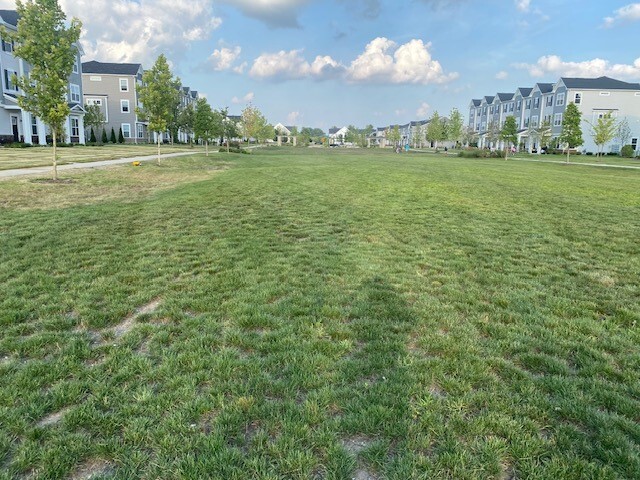 4515 Chelsea Manor Circle #4515, Aurora, IL 60504