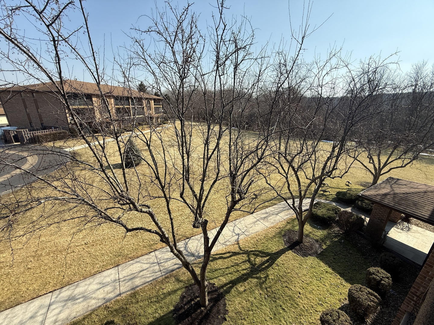 11116 Heritage Drive #3B, Palos Hills, IL 60465