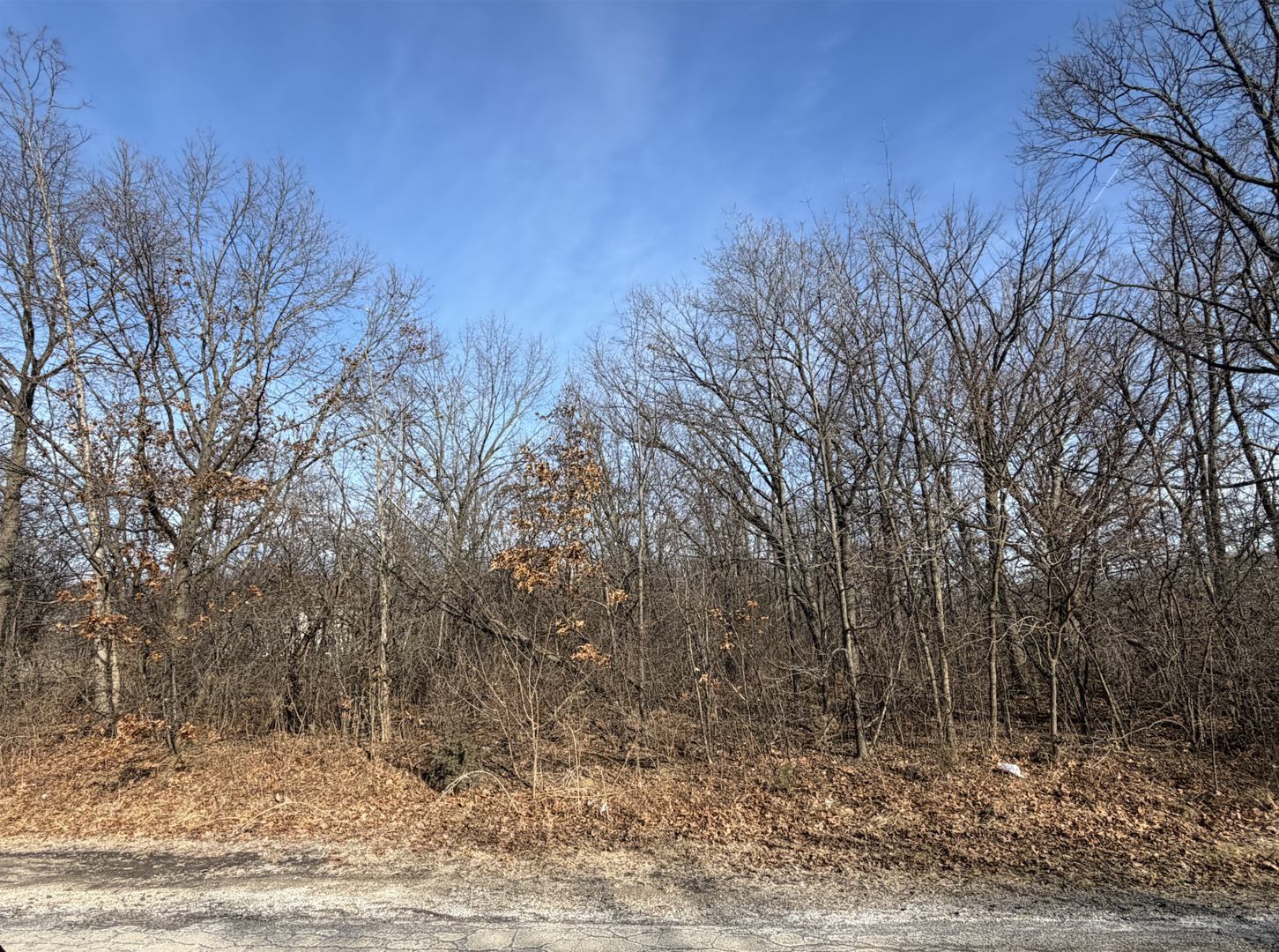 1365 Gordon Lane, Lemont, IL 60439