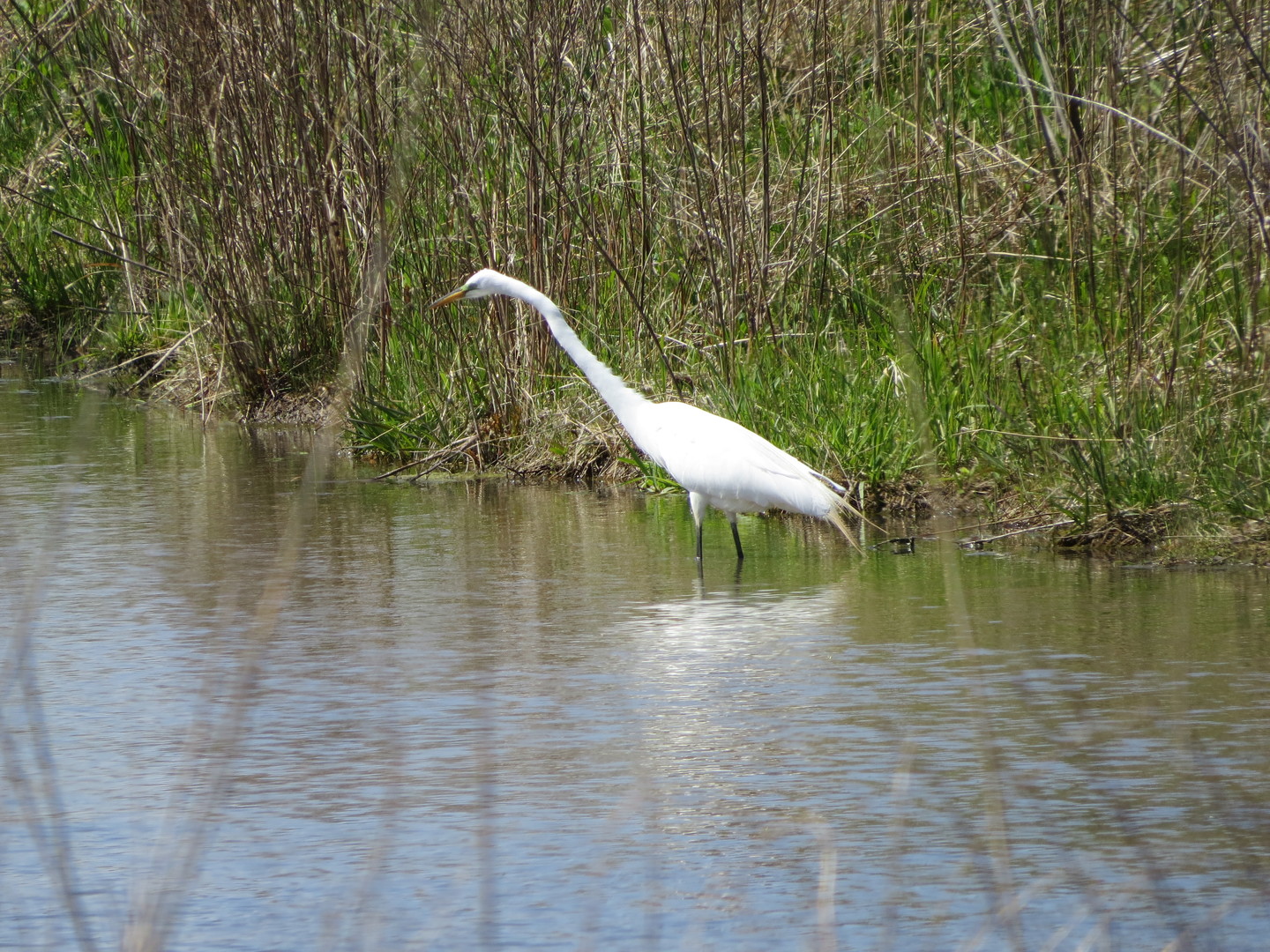 2258 Clearbrook Court, Wauconda, IL 60084