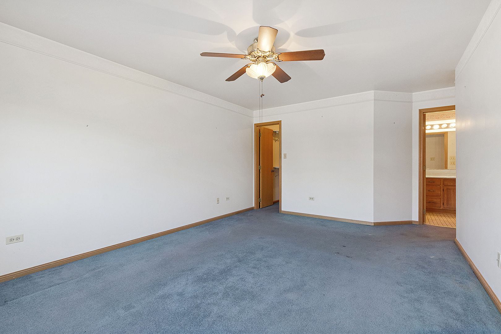 10291 Cambridge Drive, Mokena, IL 60448