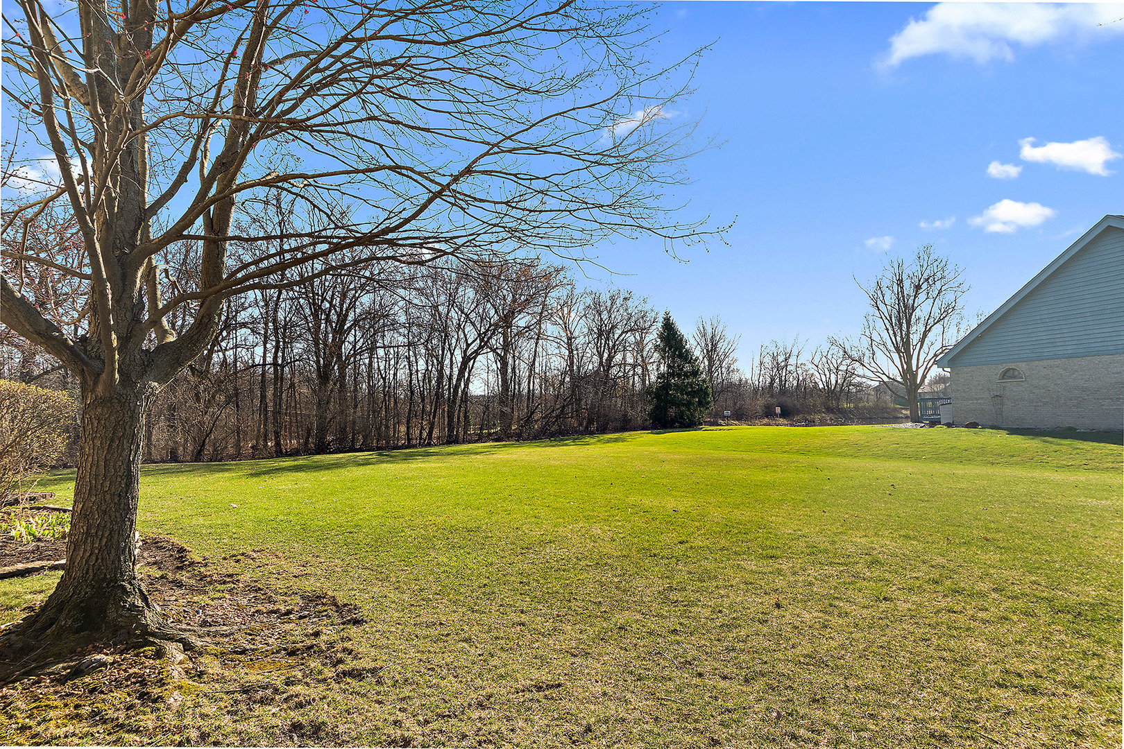 10291 Cambridge Drive, Mokena, IL 60448