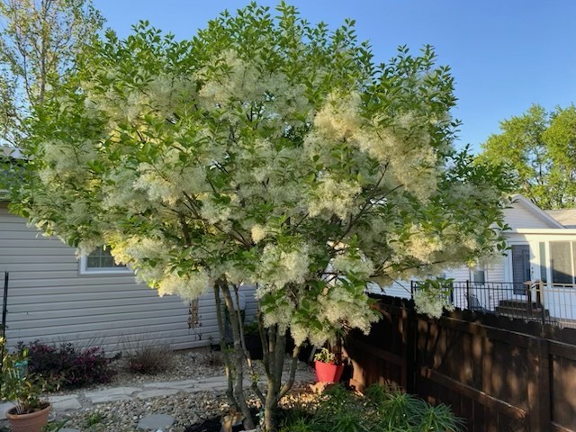 23 Geneva Court, Bloomington, IL 61704