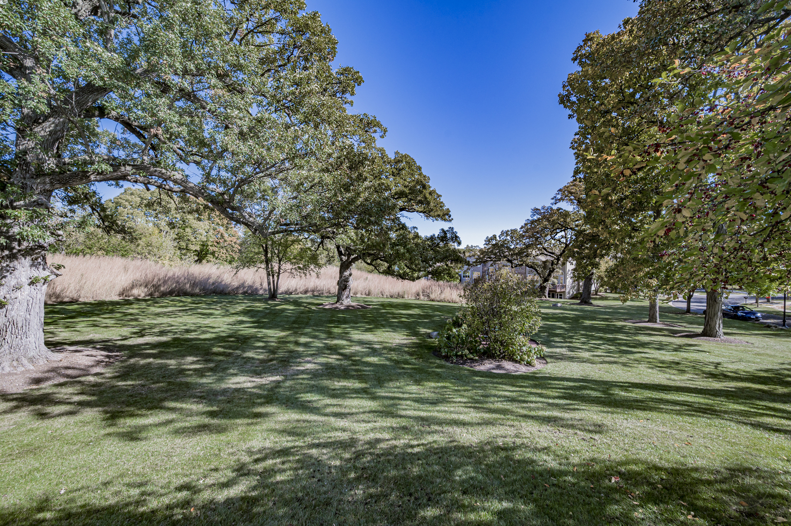 116 River Mist Drive, Oswego, IL 60543