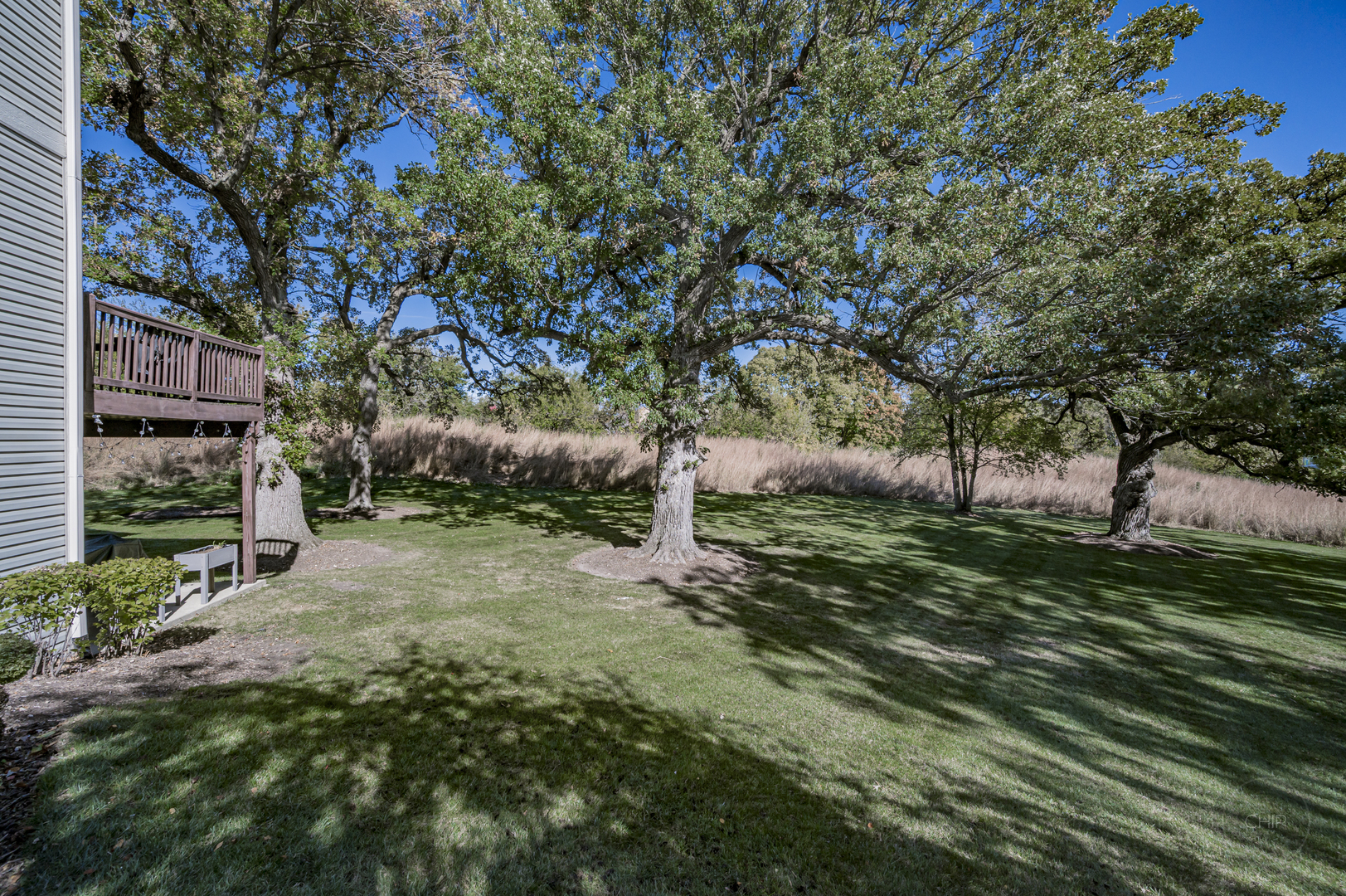 116 River Mist Drive, Oswego, IL 60543