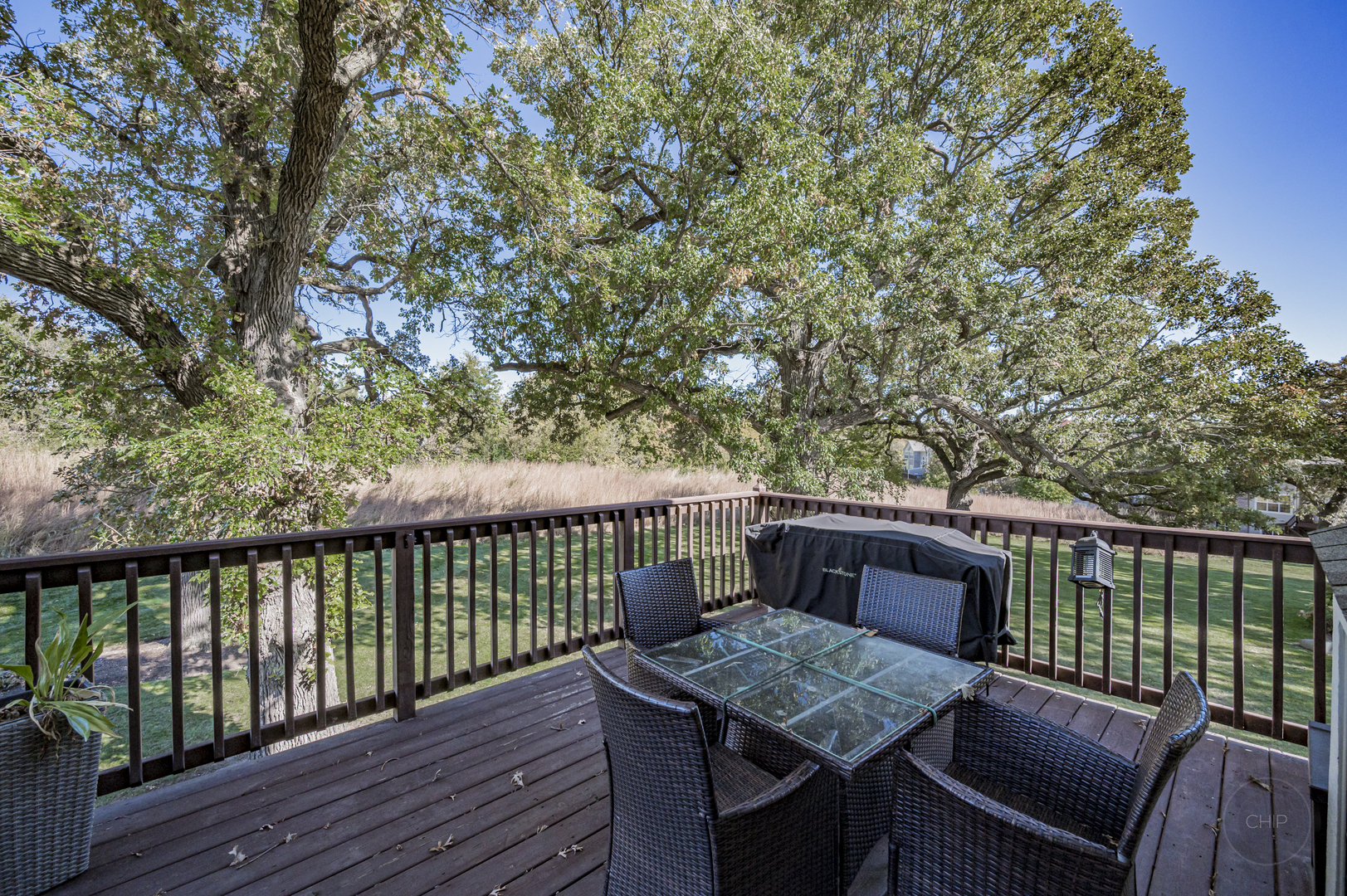 116 River Mist Drive, Oswego, IL 60543