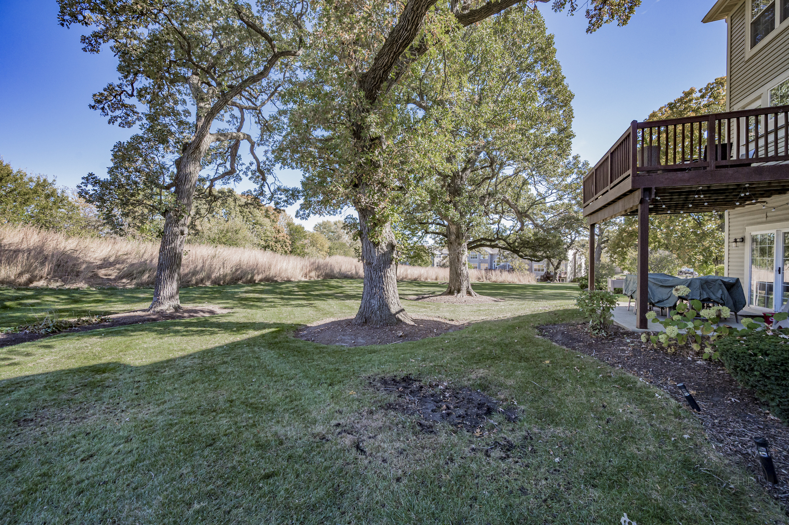 116 River Mist Drive, Oswego, IL 60543