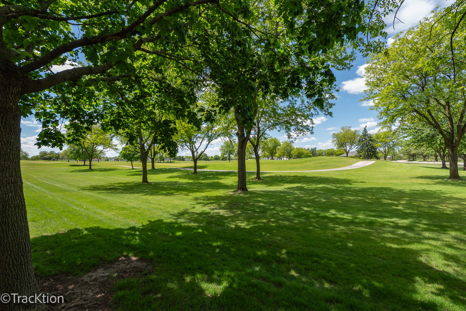 21365 Silktree Circle, Plainfield, IL 60544
