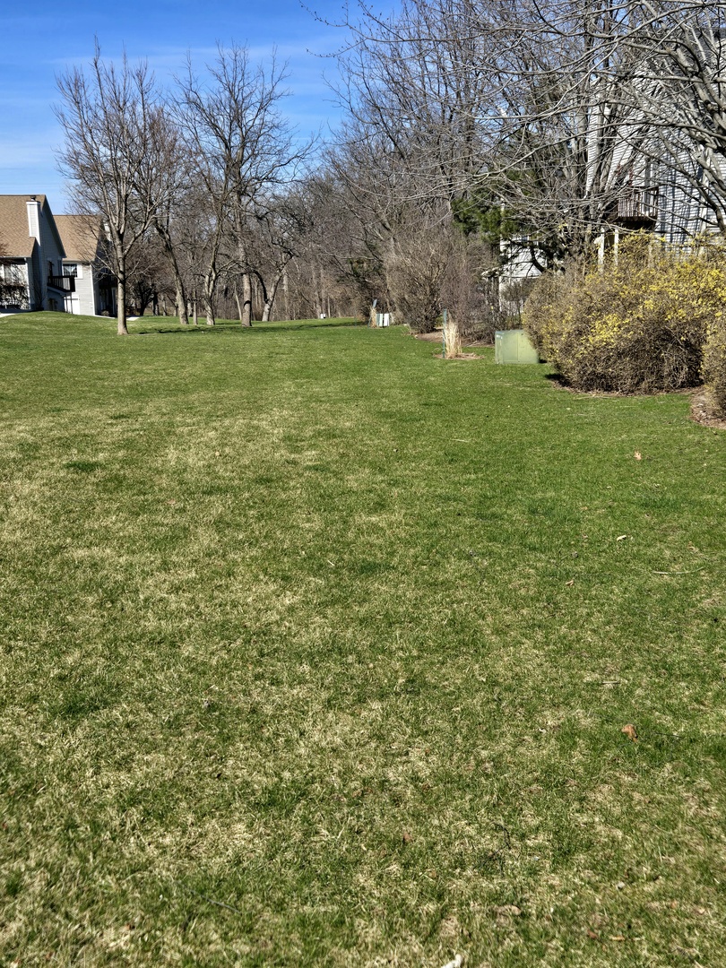 308 Windsor Court #C, South Elgin, IL 60177