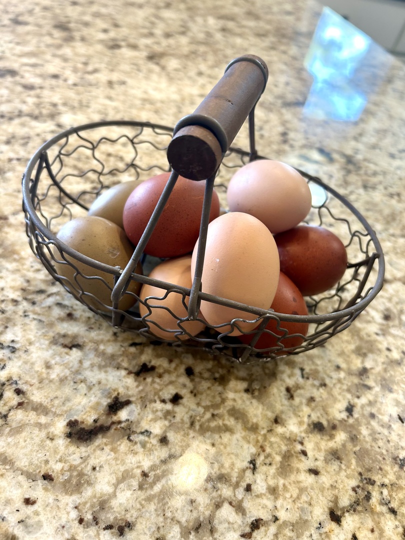 3 Hobson Court, Woodridge, IL 60517