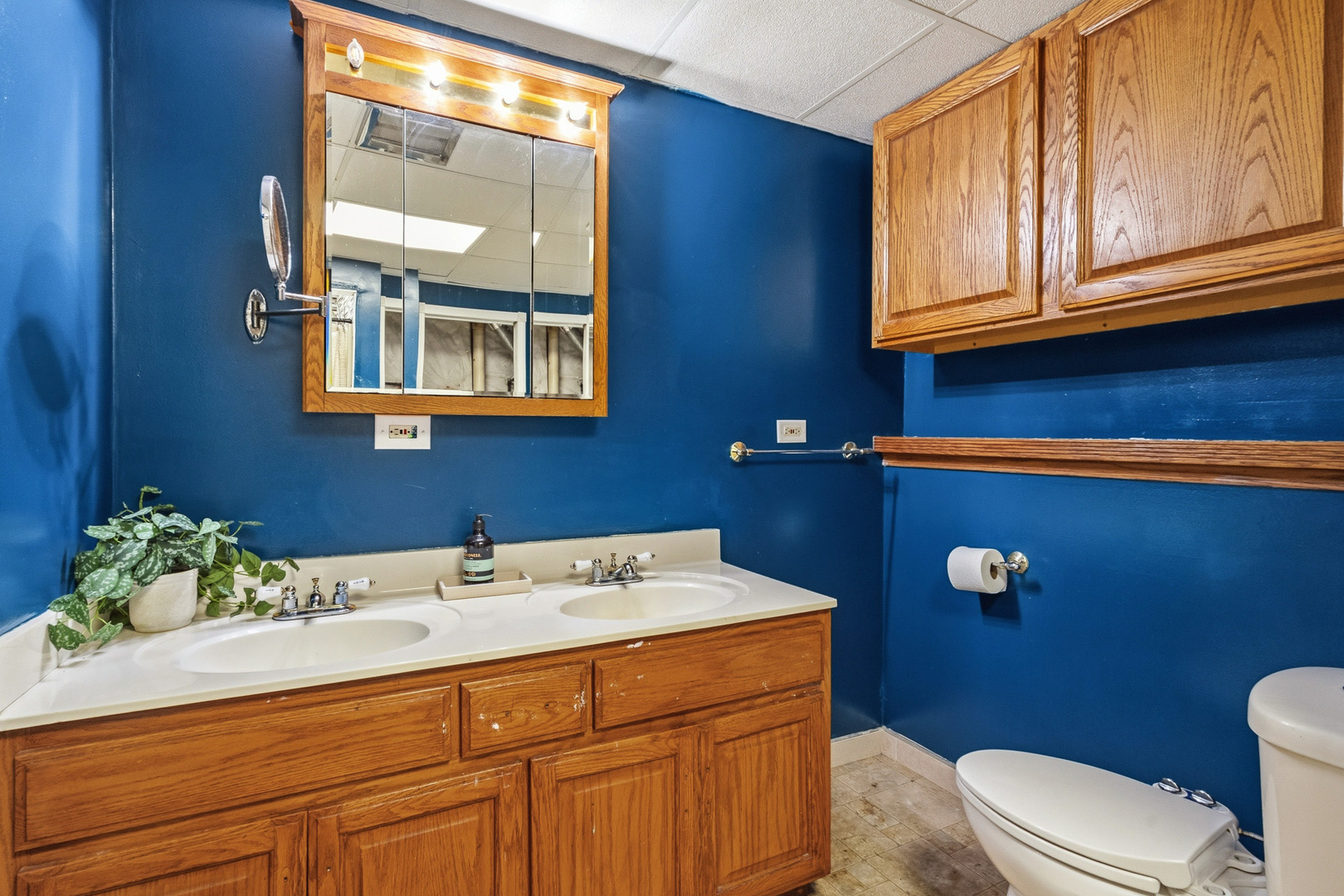 20753 Mary Drive, Lockport, IL 60441