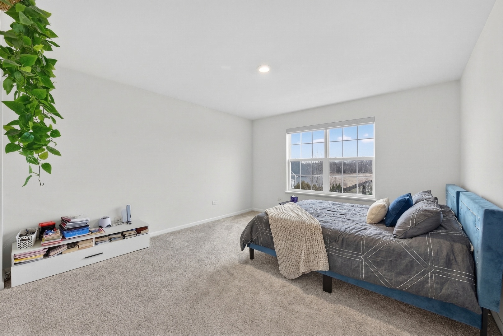 1818 Chandolin Court, Elgin, IL 60124