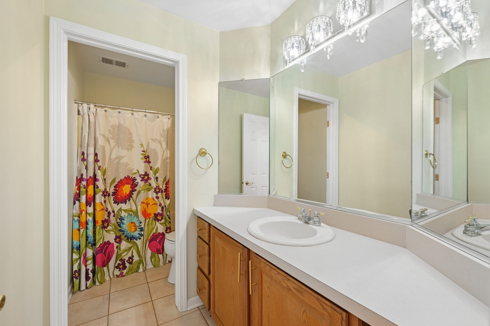 18036 Crystal Lane, Lansing, IL 60438