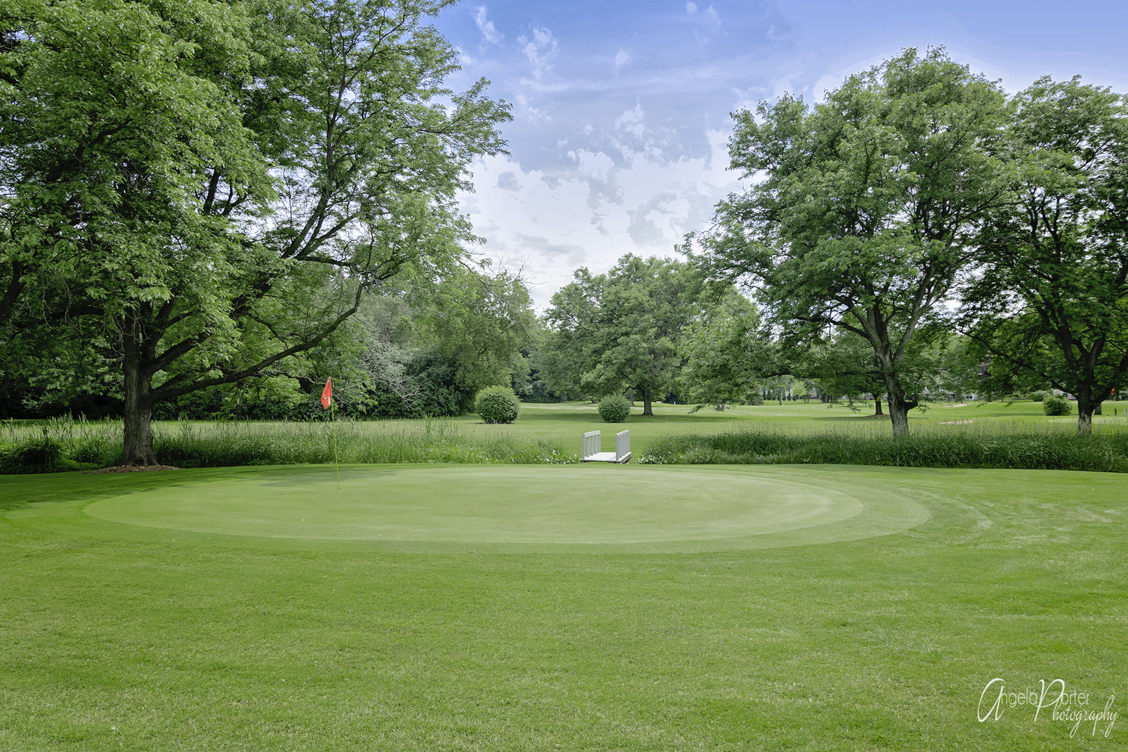 7202 Oxford Circle #237, Fox Lake, IL 60020