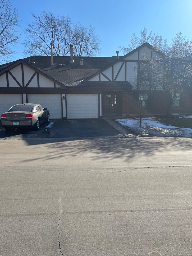 1327 Williamsburg Drive #B2, Schaumburg, IL 60193