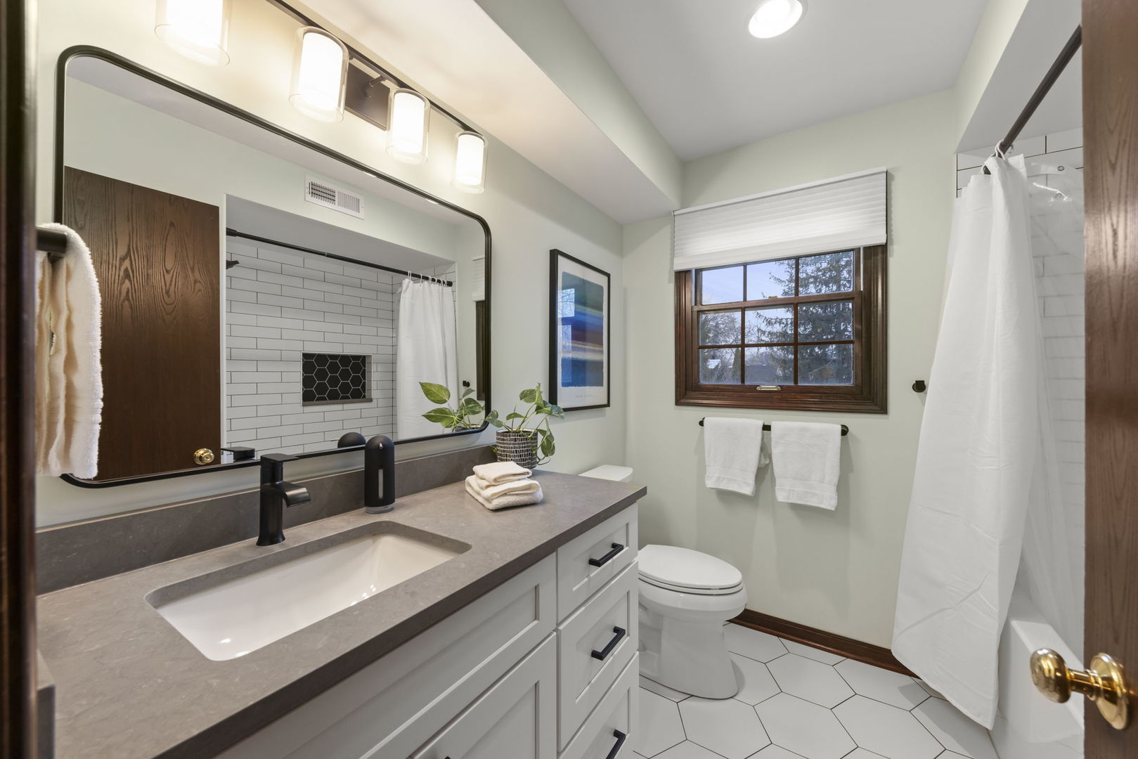 1336 Chestnut Ridge Drive, Naperville, IL 60540