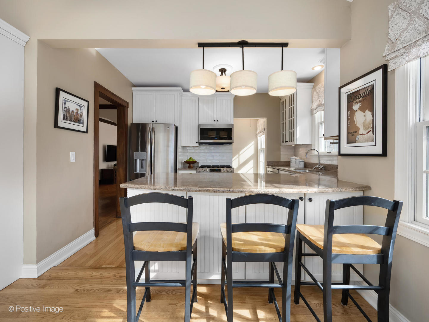 3920 Franklin Avenue, Western Springs, IL 60558