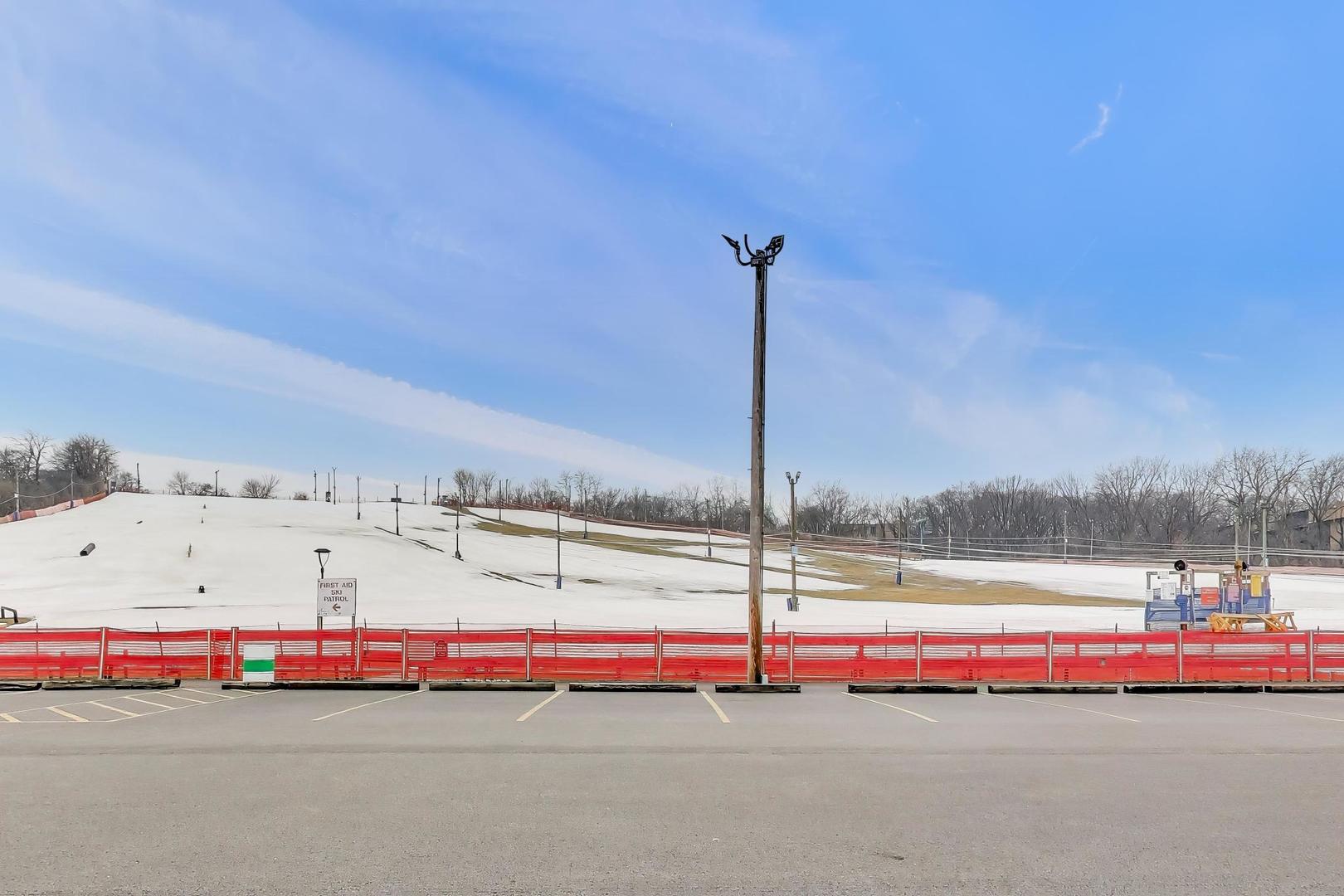 1615 Maple Terrace #115-1L, Lisle, IL 60532