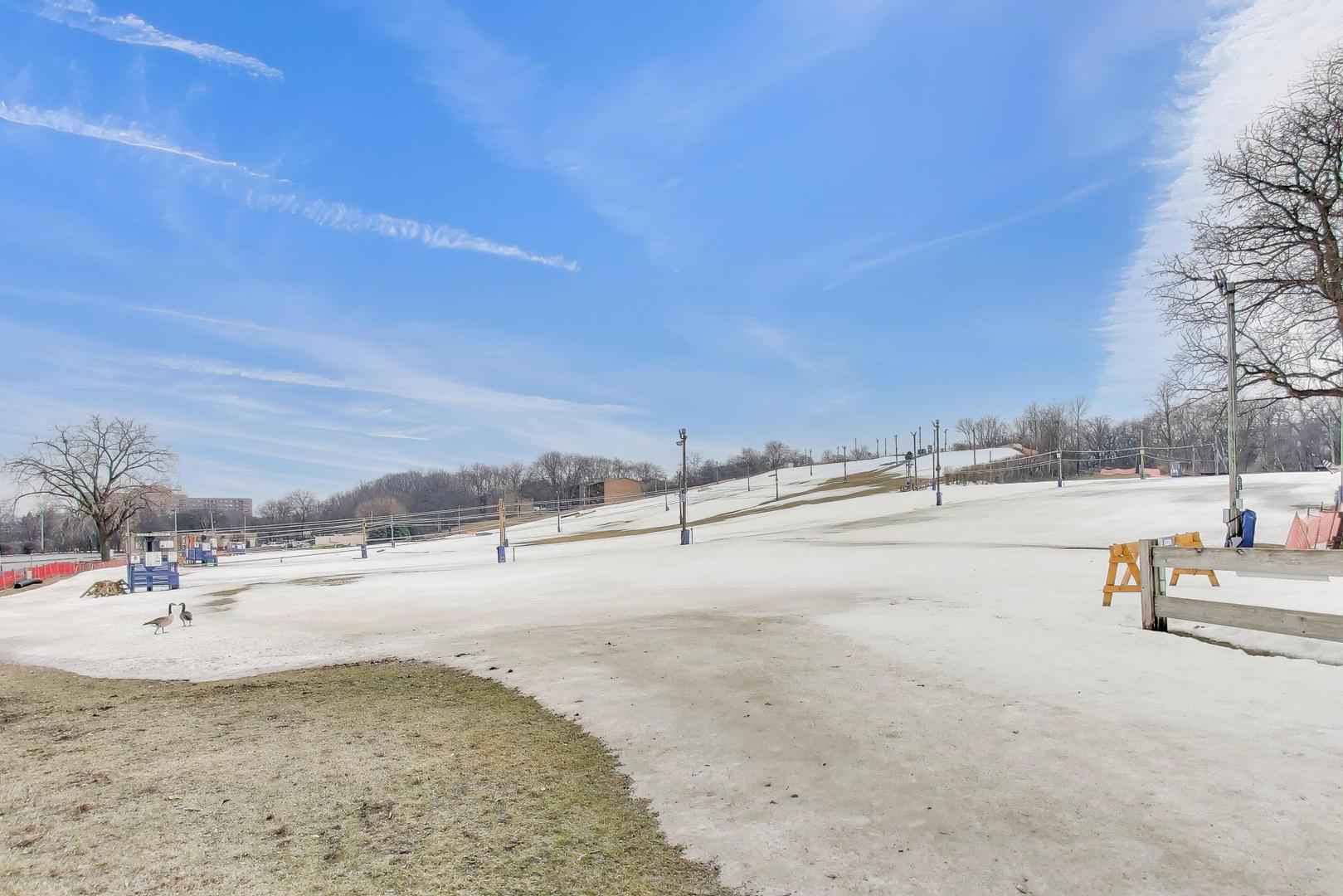 1615 Maple Terrace #115-1L, Lisle, IL 60532