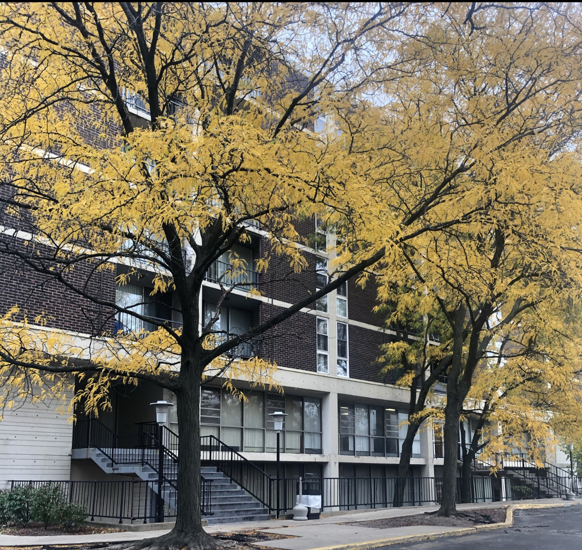 Bensenville, IL 60106