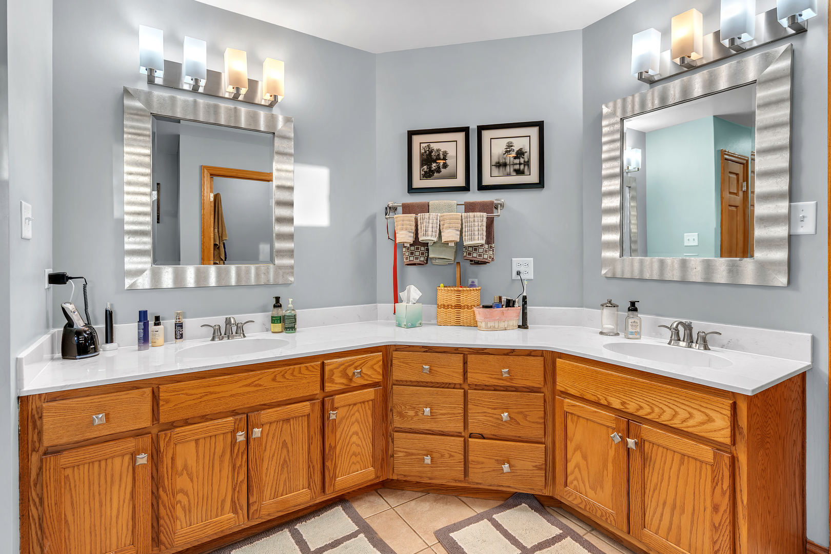 18758 Chestnut Court, Mokena, IL 60448