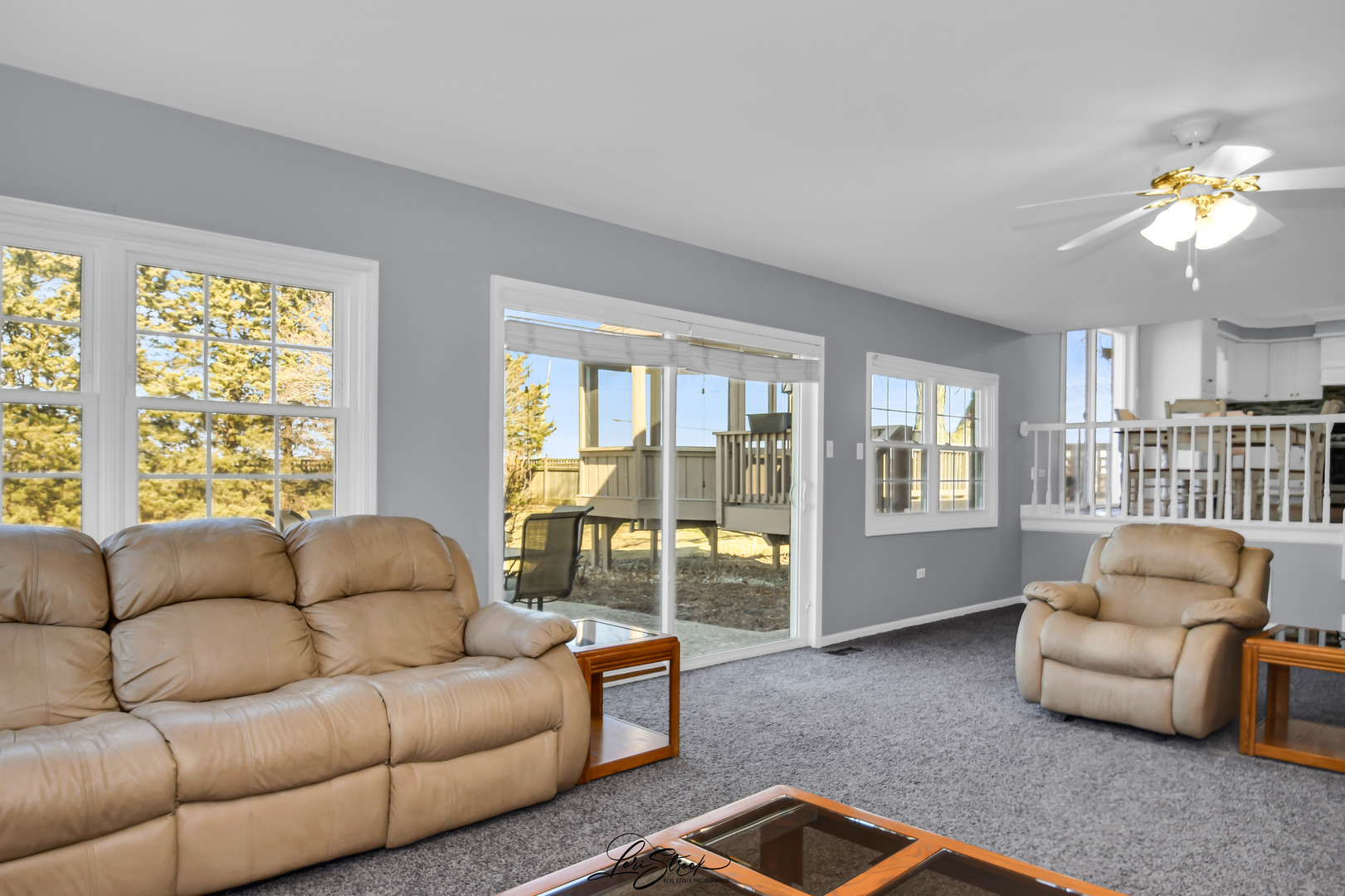 14820 W Glen Wood Lane, Homer Glen, IL 60491