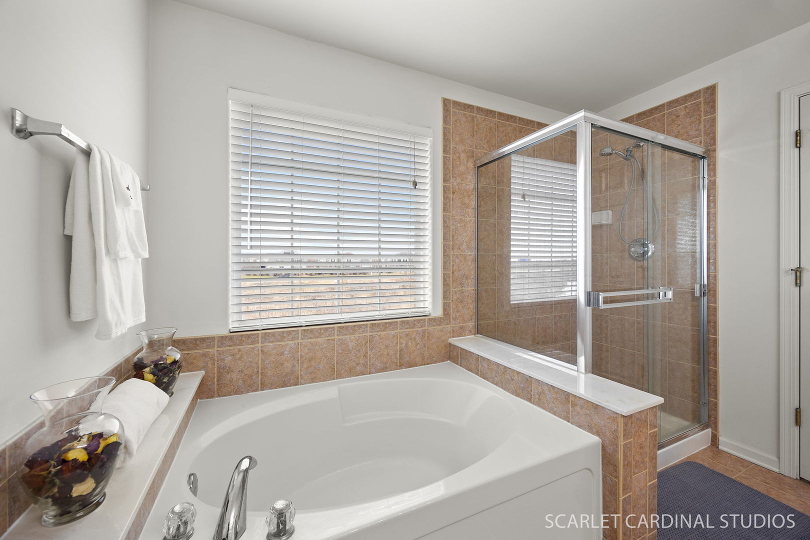 1661 Trails End Lane, Bolingbrook, IL 60490