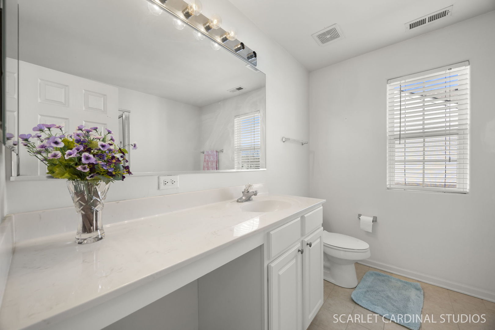 1661 Trails End Lane, Bolingbrook, IL 60490