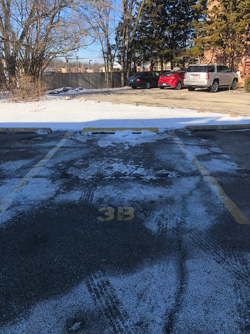 941 N Northwest Highway #3B, Park Ridge, IL 60068