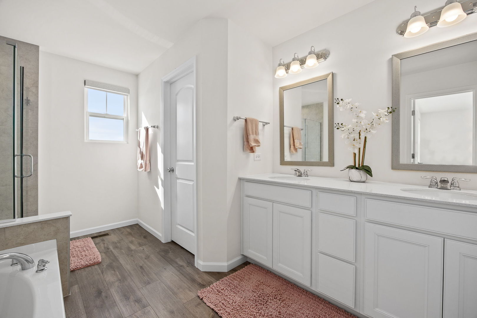 24356 W Alexis Lane, Plainfield, IL 60585