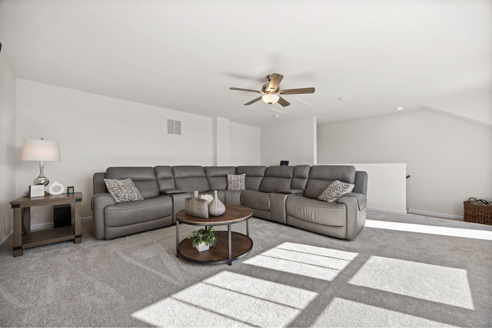 24356 W Alexis Lane, Plainfield, IL 60585