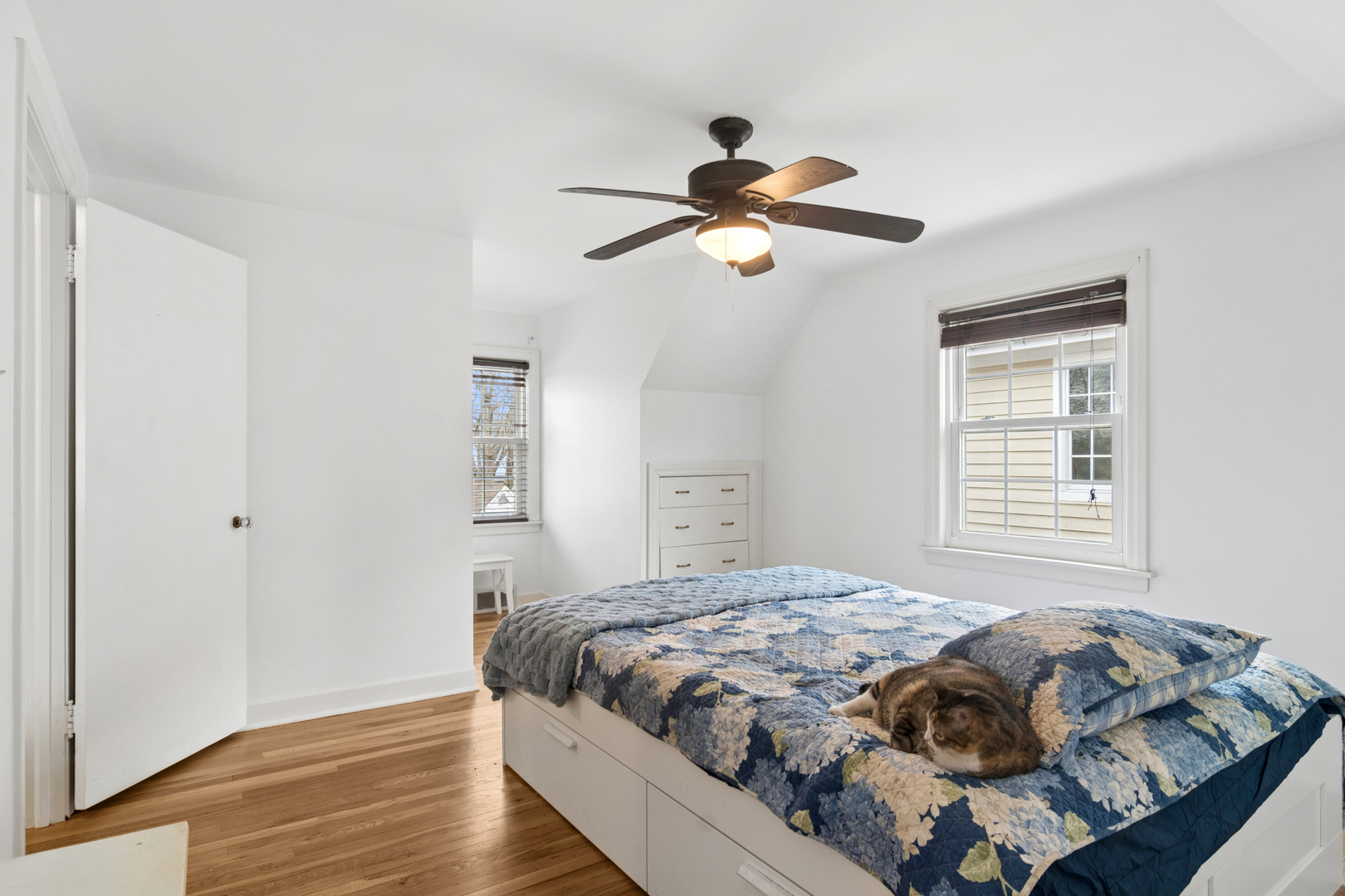 714 S Dunton Avenue, Arlington Heights, IL 60005