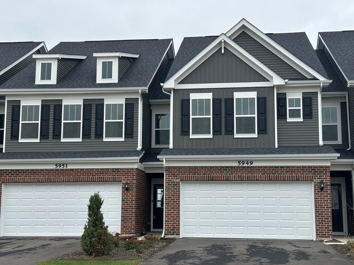 5949 Hawkweed Drive, Naperville, IL 60564