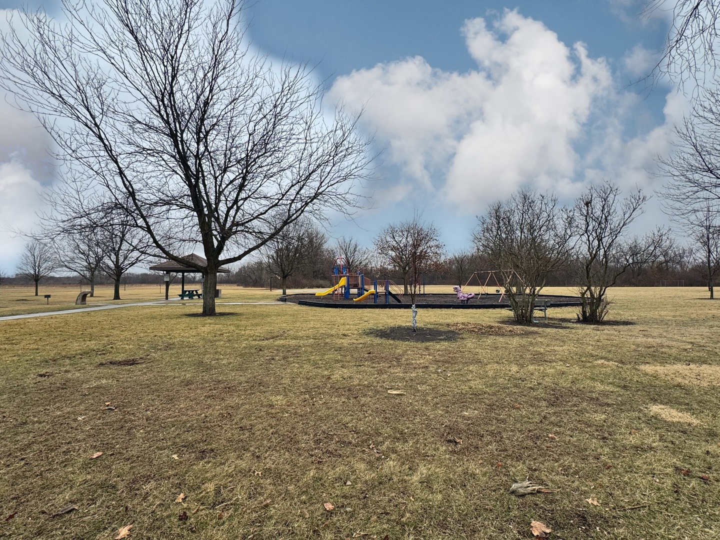 1309 W Indian Drive, Pontiac, IL 61764