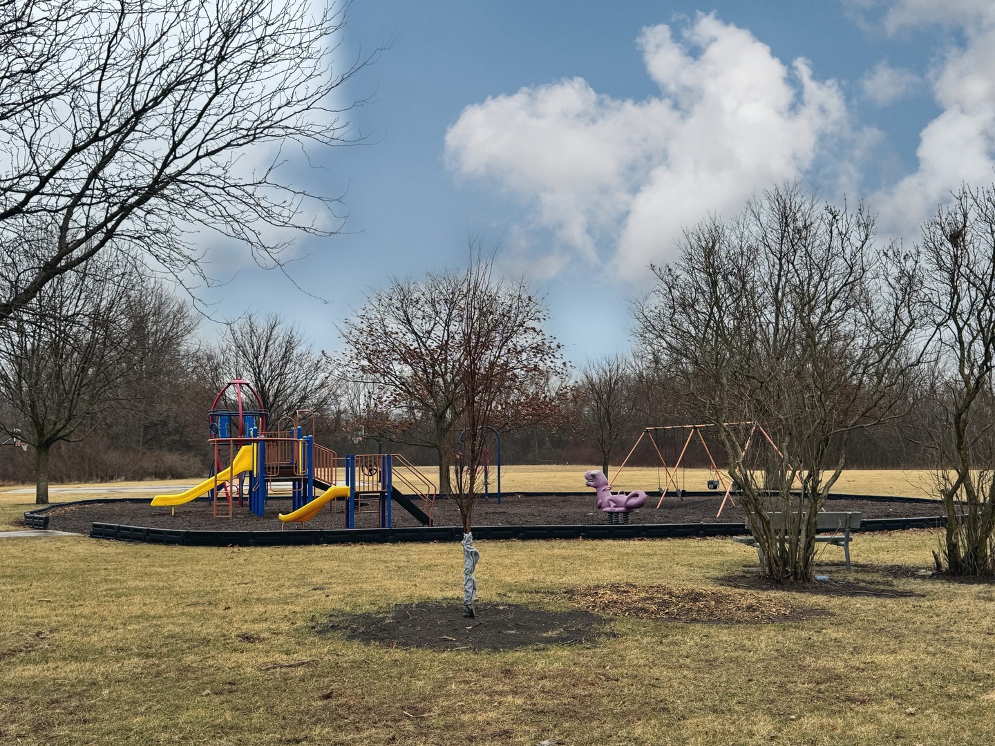 1309 W Indian Drive, Pontiac, IL 61764