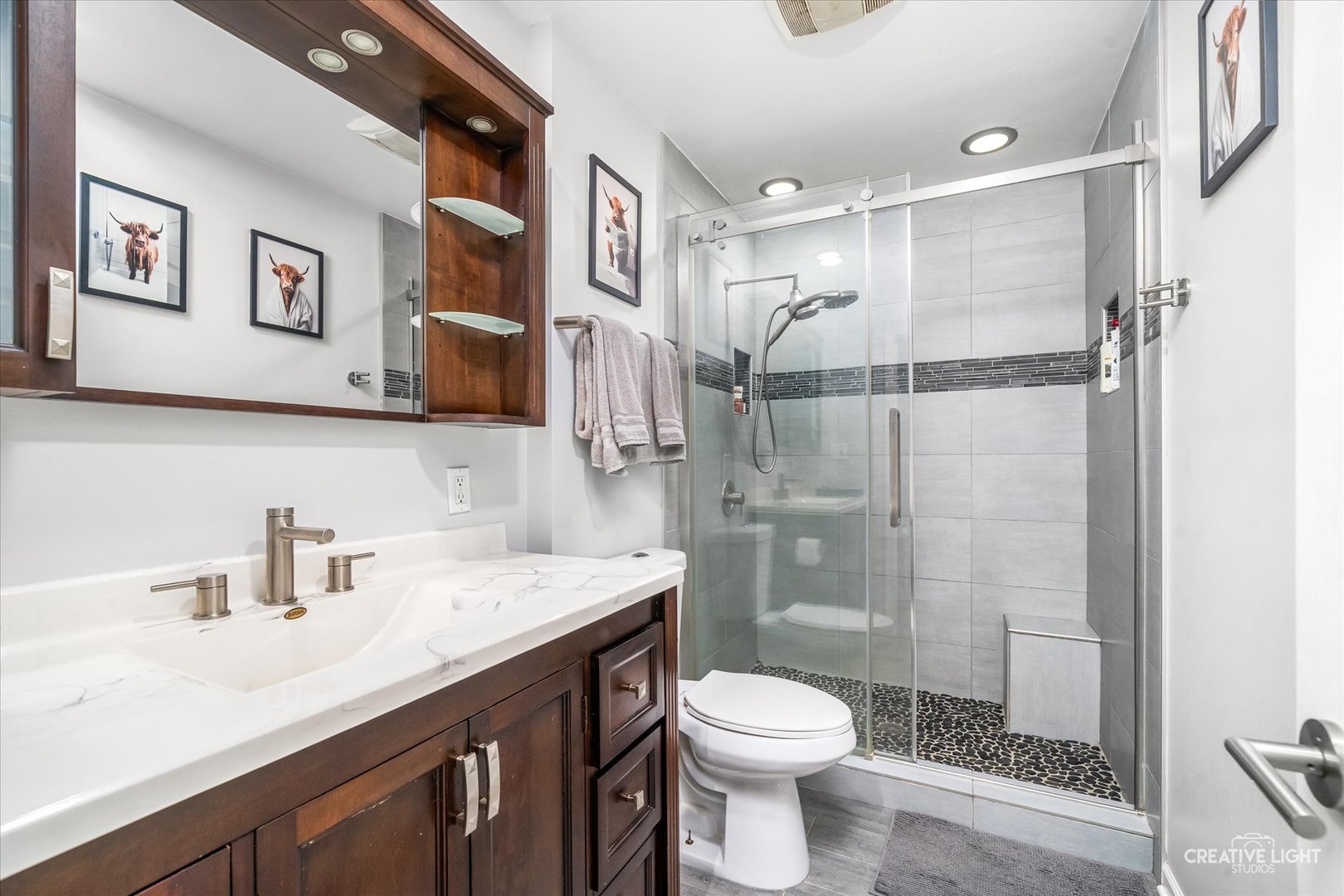 540 N Rosedale Avenue, Aurora, IL 60506