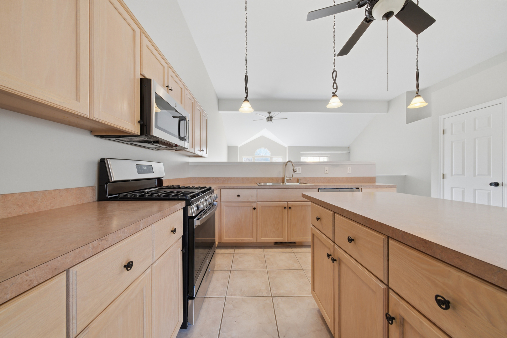 1323 Coral Bell Drive, Joliet, IL 60435