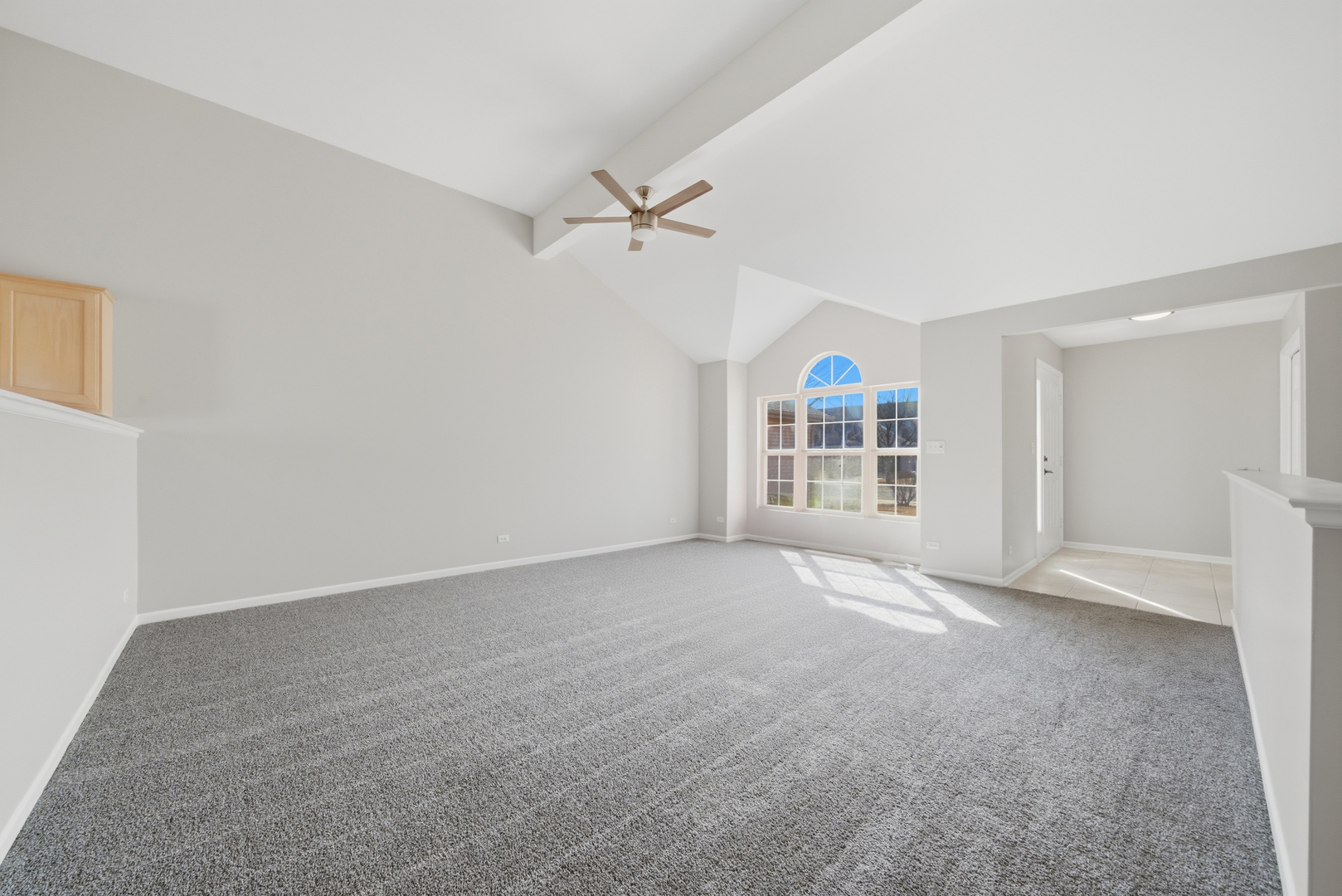 1323 Coral Bell Drive, Joliet, IL 60435