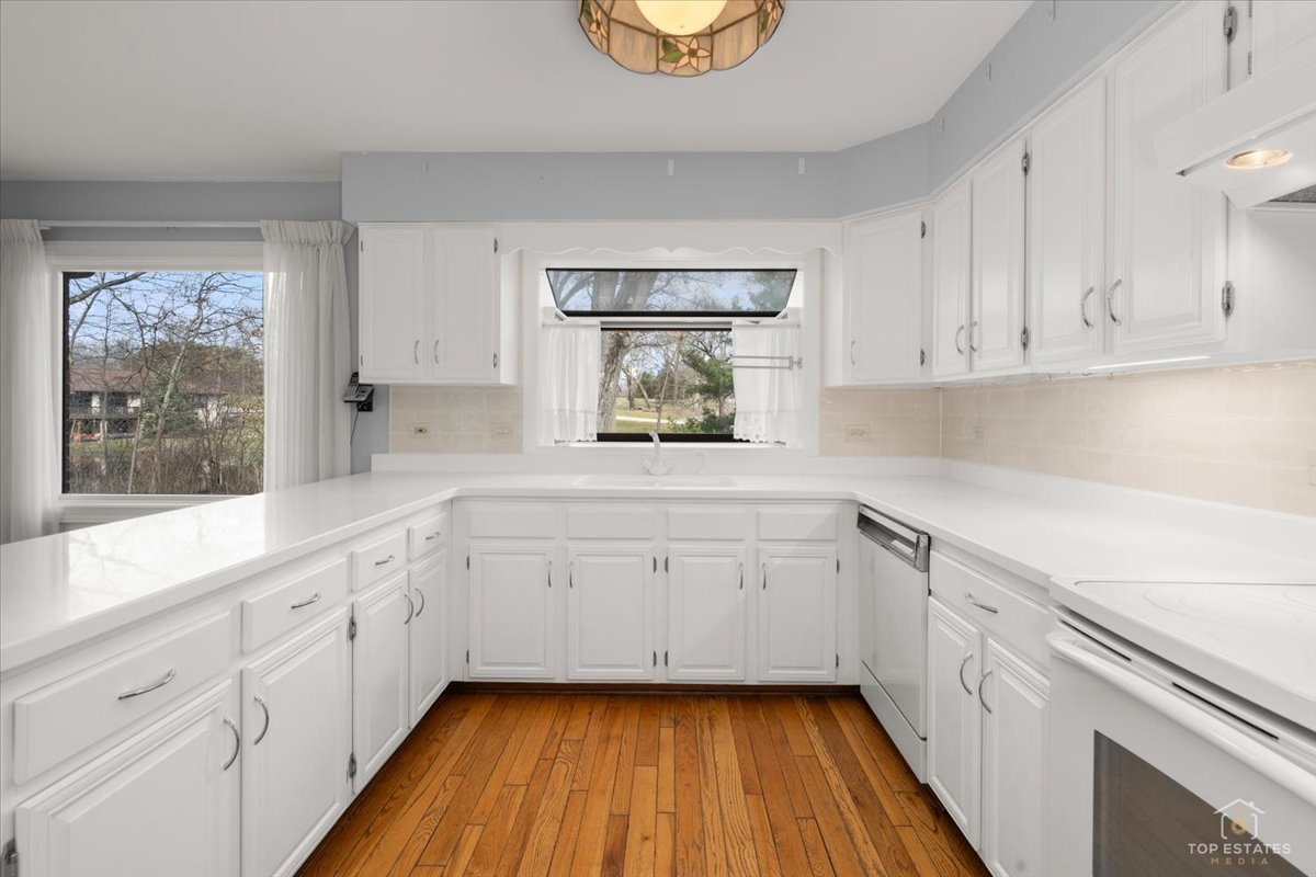 21805 W Hidden Valley Drive, Kildeer, IL 60047