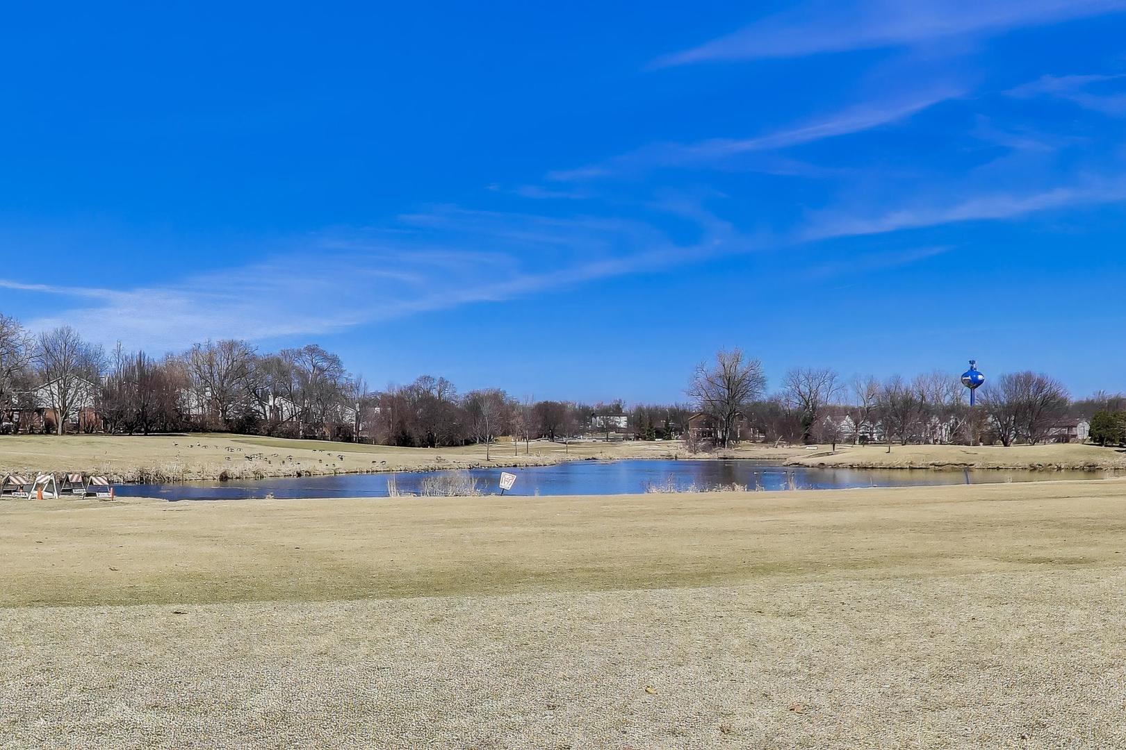 421 N Ashbury Avenue, Bolingbrook, IL 60440