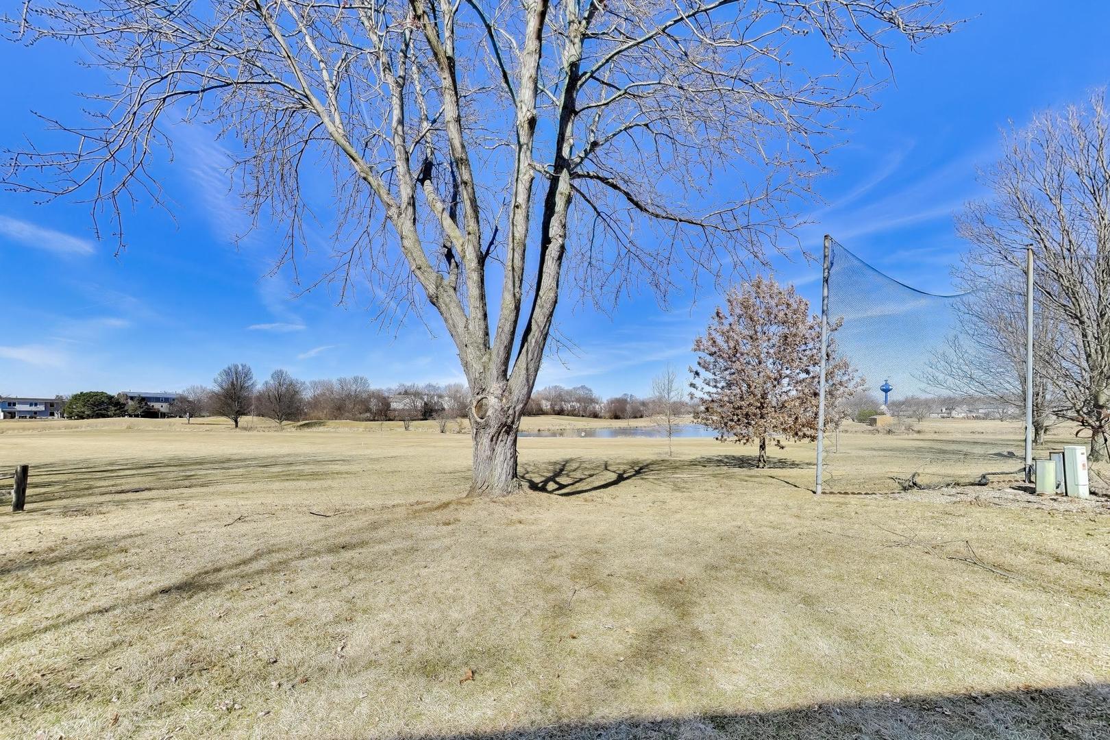 421 N Ashbury Avenue, Bolingbrook, IL 60440