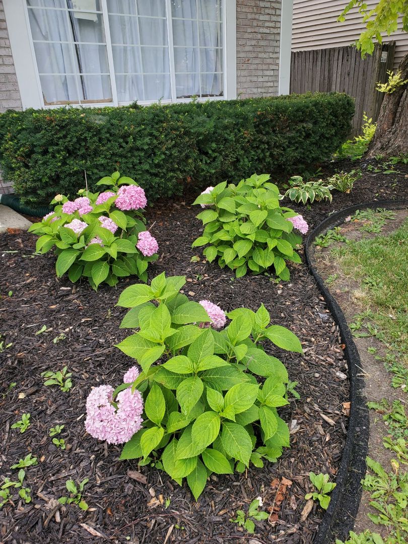 1080 Scarlet Oak Circle, Aurora, IL 60506