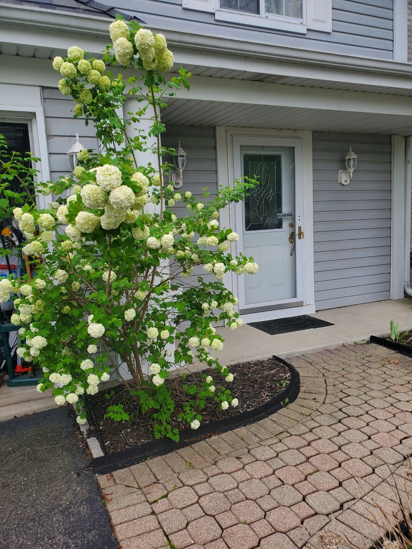 1080 Scarlet Oak Circle, Aurora, IL 60506