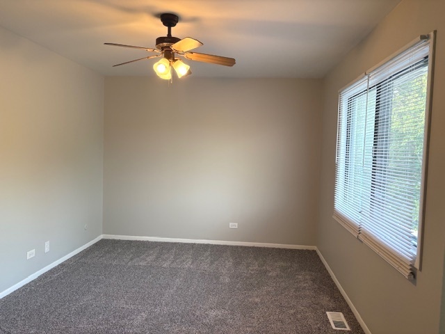 2S717 Winchester Circle #4, Warrenville, IL 60555